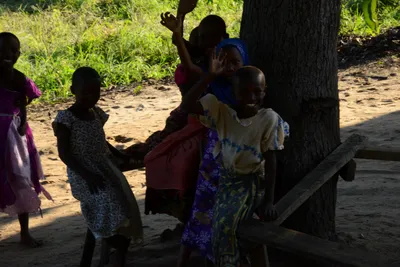 DSC_8178 (Large).JPG